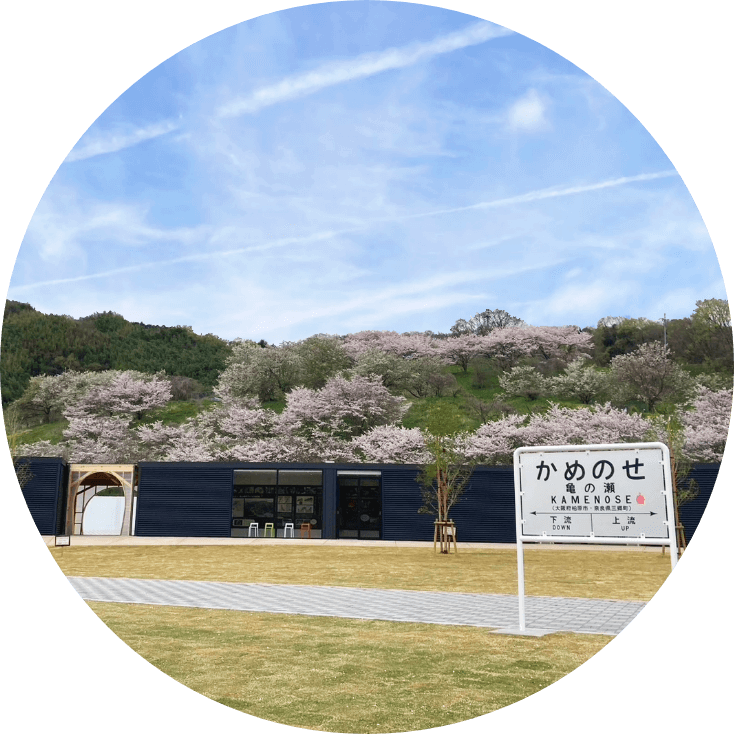 亀の瀬が日本遺産に認定されてから、４年目を迎えます。地域の方々の活動や、訪れる方々にどんな変化を感じますか。